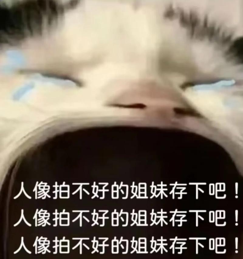 以旁轴相机拍人像的魅力（以小而精的旁轴相机，为人像摄影带来新的可能性）