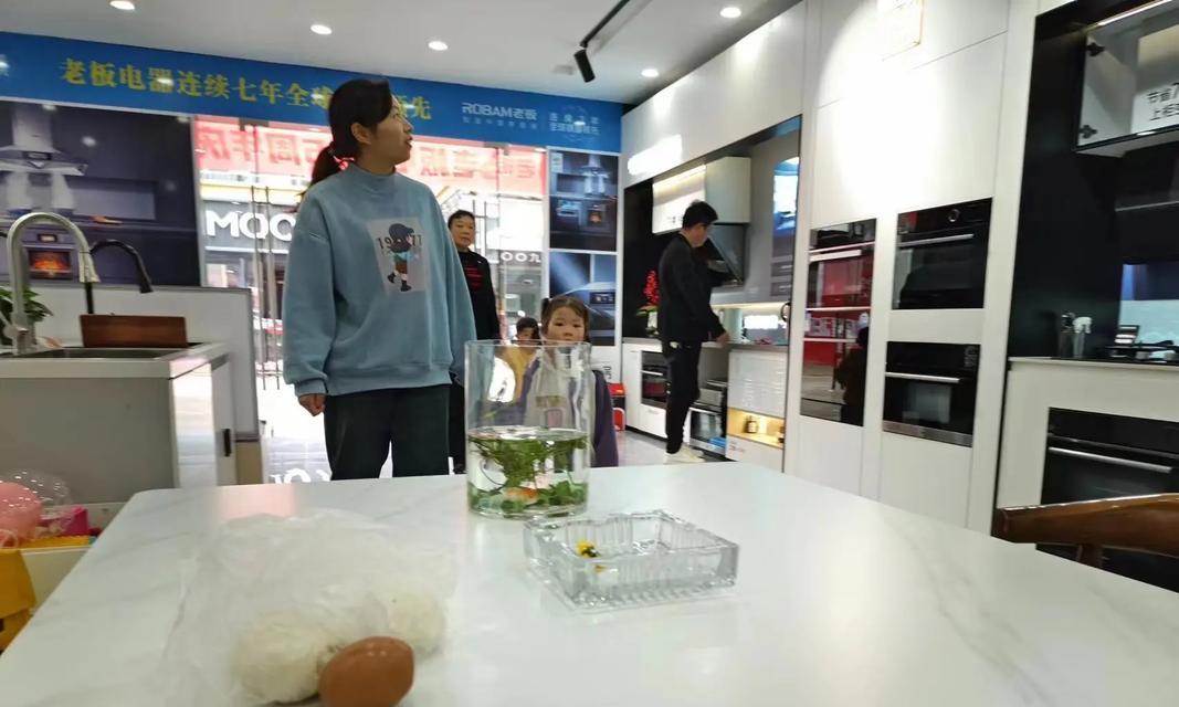 老板电器21A6的性能与特点解析（解读老板电器21A6的高效能力和智能设计）