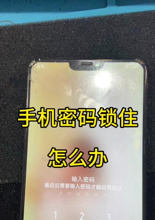 电脑PIN密码错误的解决方法（如何应对电脑PIN密码错误，保护数据安全）