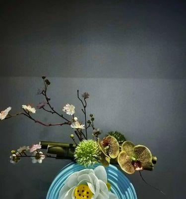 华为手机拍景物技巧教程（打造专业级的景物摄影作品，华为手机助你轻松实现）